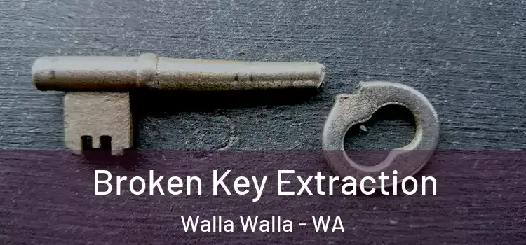 Broken Key Extraction Walla Walla - WA