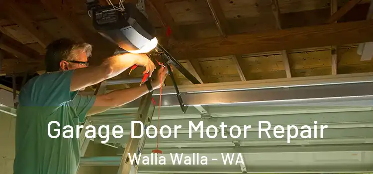  Garage Door Motor Repair Walla Walla - WA