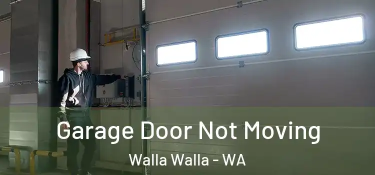  Garage Door Not Moving Walla Walla - WA