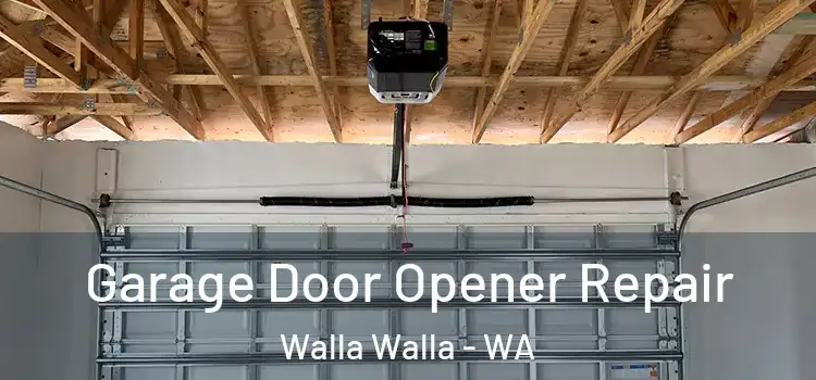  Garage Door Opener Repair Walla Walla - WA