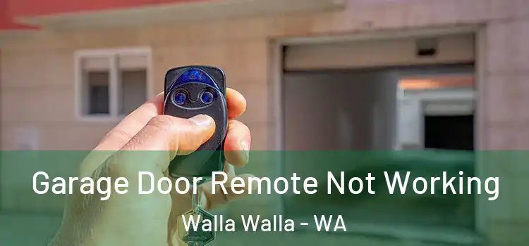  Garage Door Remote Not Working Walla Walla - WA