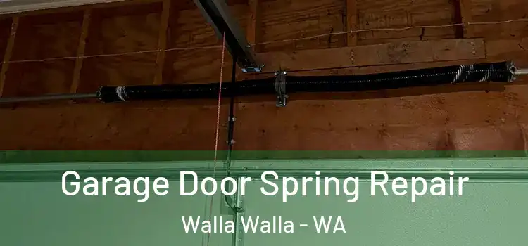  Garage Door Spring Repair Walla Walla - WA
