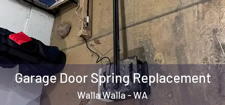  Garage Door Spring Replacement Walla Walla - WA