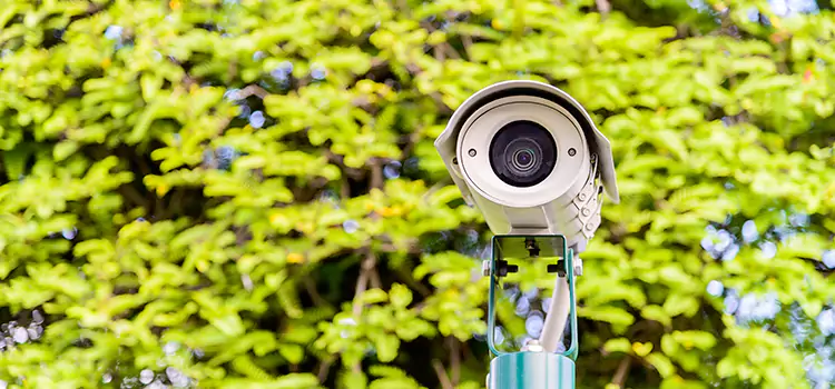 Advanced Surveillance Solutions for Every Need in Walla Walla