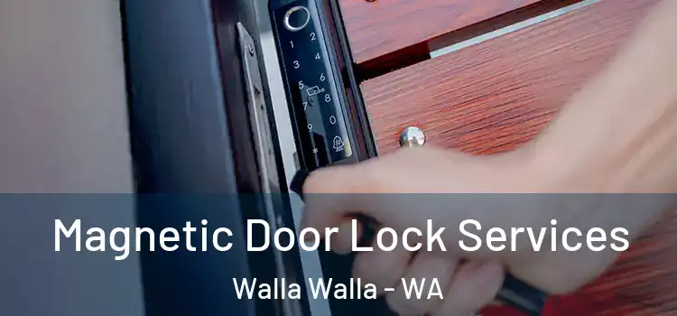 Magnetic Door Lock Services Walla Walla - WA